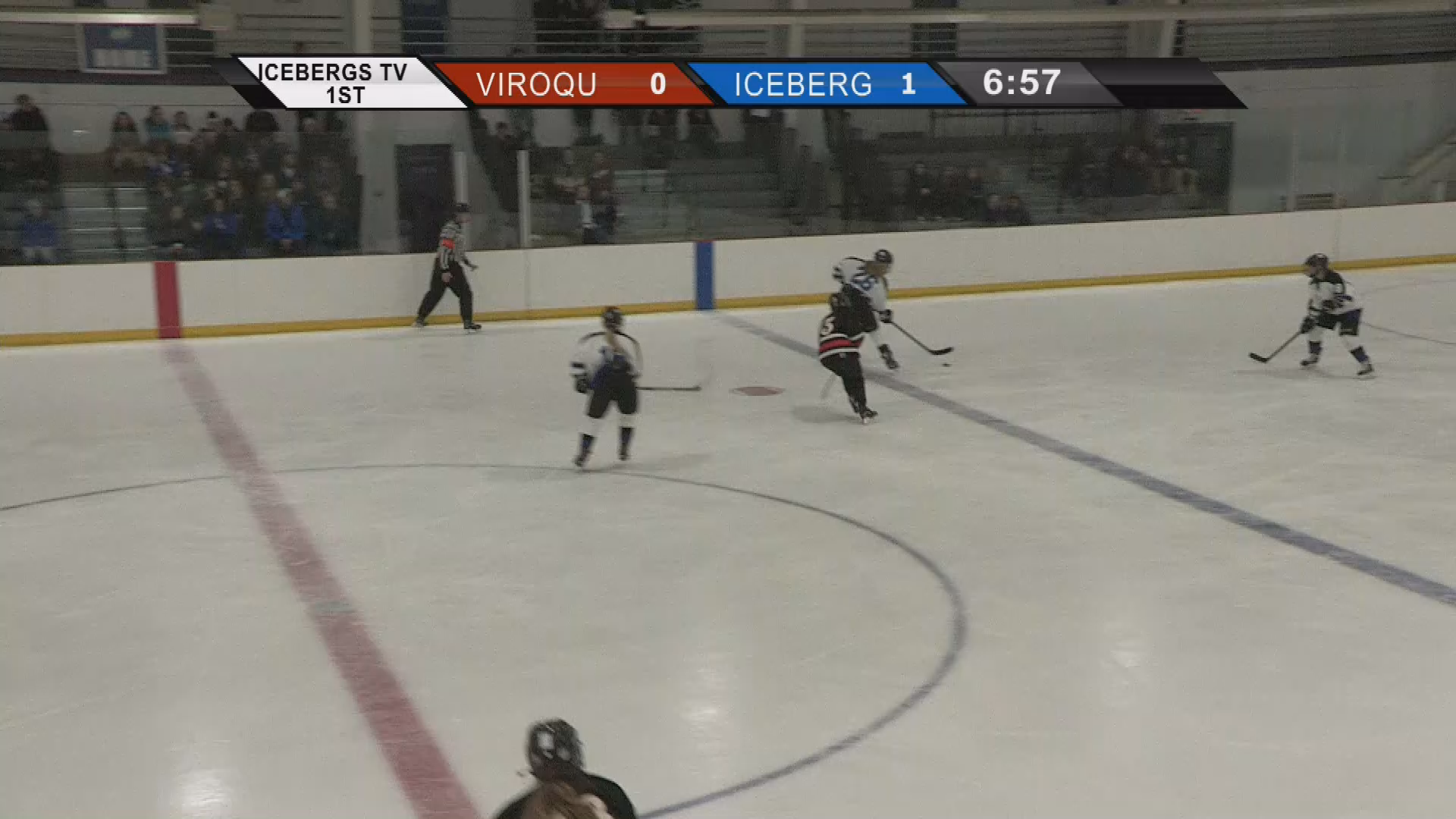 Icebergs Hockey 1/8/19