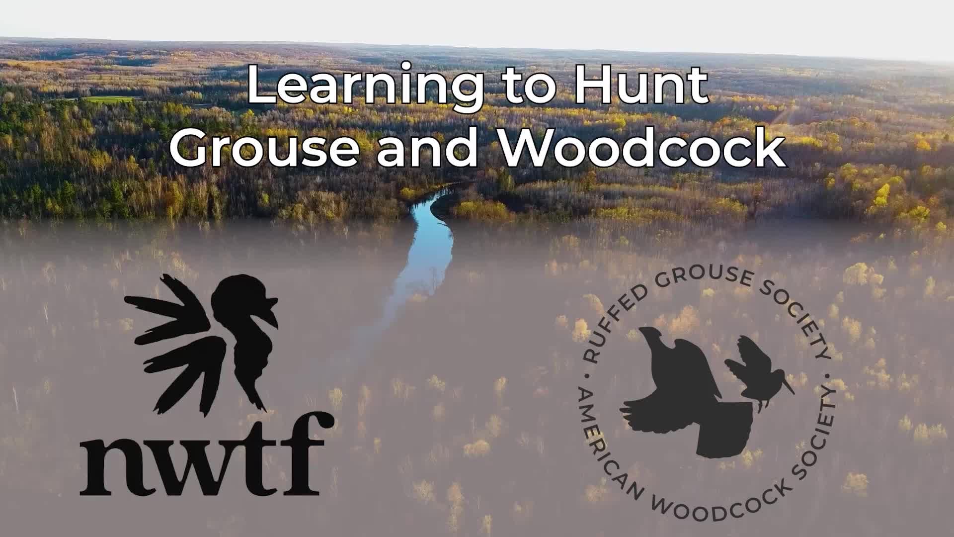 Thumbnail image for Learning to Hunt Grouse and Woodcock