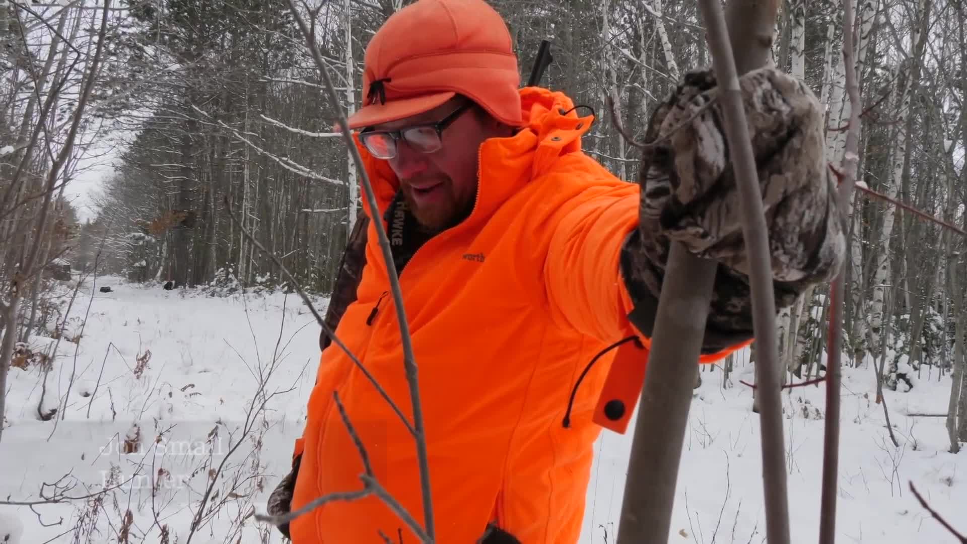 Deer Hunt Wisconsin 2023