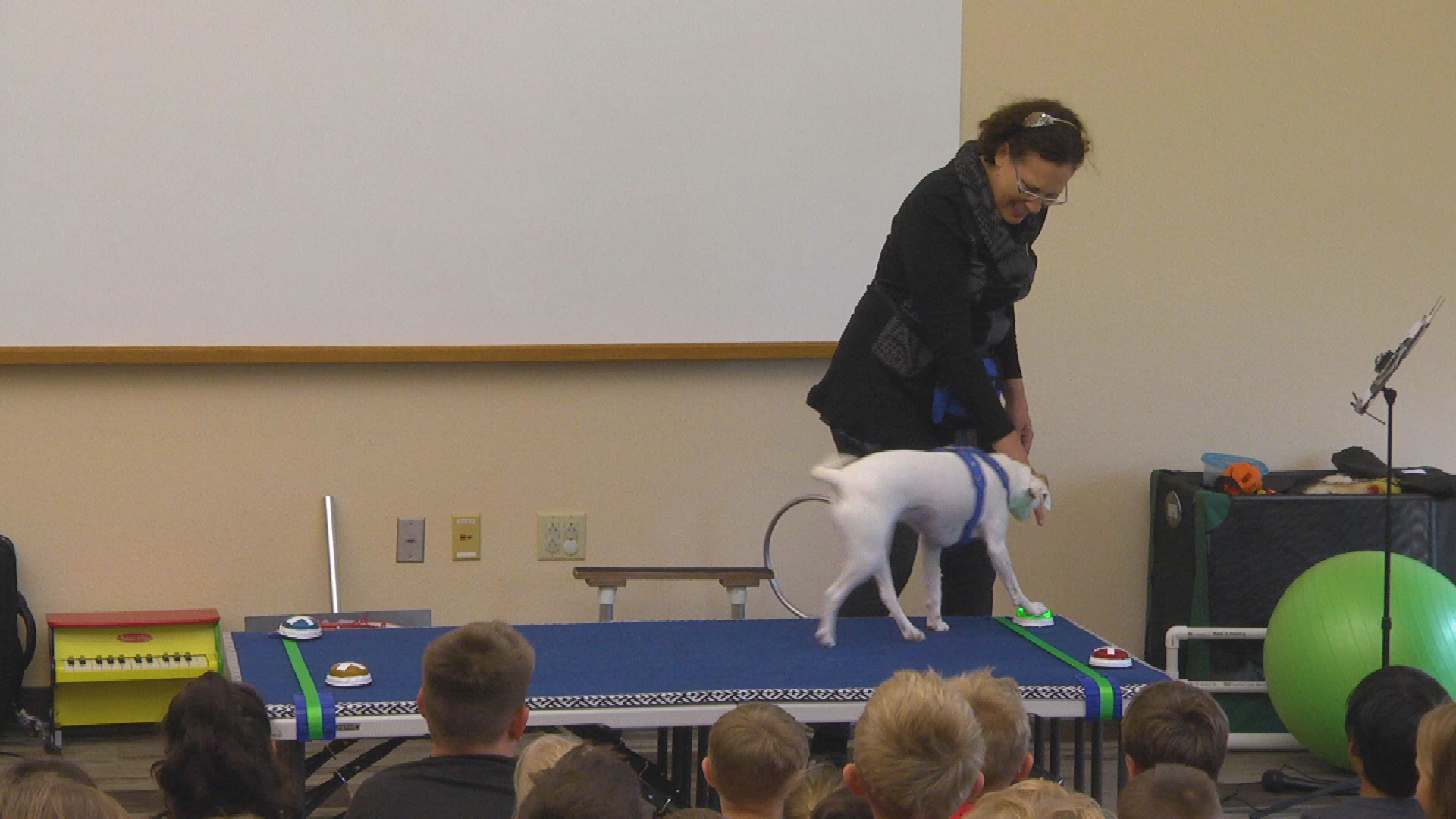 Thumbnail image for Circus Dogs Show 7-19-18